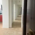 Piano Nobile